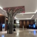 라마다서울신도림호텔 카페라라 | [ 서울/신도림 ] 라마다 호텔 뷔페, 카페 라라, 겨울 실내 데이트 - Blog Mars 🎄 l 블로그 마스 12월 10일