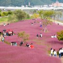 영가화원