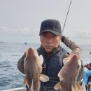 G5154 네이버블로그