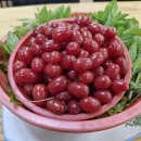 미락농장 이미지