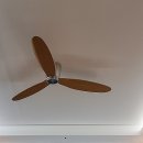 지엘리베리움 이미지