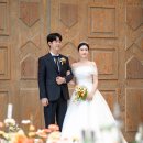 토브헤세드