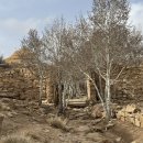 사방염소농장 이미지