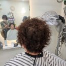 이끌린헤어살롱 네이버블로그