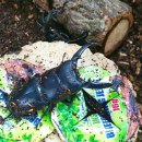 너나마루작은도서관 이미지