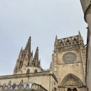 C&N HOSTEL | Buen Camino🥾 - 14 (스페인 레온(Leon) / 부르고스→레온 버스 점프, 공립 알베르게)