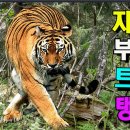 통합리듬댄스 이미지