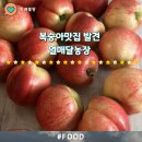 천일농장 | 맛있는복숭아배송맛집 발견 열매달농장