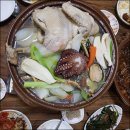 울릉도 올레펜션 네이버블로그