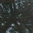 수플러스+치과의원 이미지