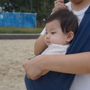 샘밭 농장 | 8개월)책 육아, 디자인스킨 칠교매트+플레이테이블, 강릉 여행