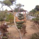 덕원농장 이미지