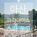 파라다이스스파도고캠핑장 | 여름휴가에 다녀온 아산 파라다이스 스파 도고 방문 후기 ( 아이랑 가기 좋은 곳 )