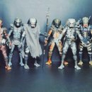 메디컴프 이미지