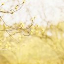 향기가있는풍경 이미지