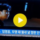 이슈 파헤치기 MBN뉴스 임영웅 기사 내용 이미지