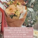 하트폴댄스 이미지