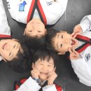 단국대 도솔태권도 이미지