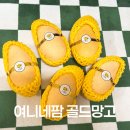 여니네 | 망고 택배 실패 없는 곳! 여니네팜 골드망고 솔직 후기