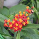 동남공원 이미지