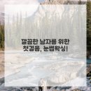 인생눈썹 이미지