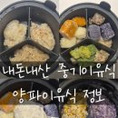 무공해시골채소 | [내돈내산 중기이유식] #30 양파 활용기 (feat.감칠맛)