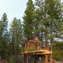 트리하우스 이미지