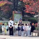 청주랜드관리사업소(동물원) 이미지