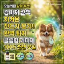디에센셜 | 가세요? 진드기 지옥에서 우리 아이 구하는 디퓨리 코코가드 산책클립 솔직후기 (feat. 천연 에센셜오일)