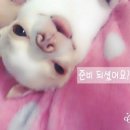 미인헤어커커