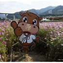 횡성한우 - 하남시 | 횡성한우
