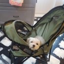 개스트하우스 말2 이미지