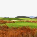 아일랜드 골프존 이미지