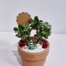 원예테라피_초록식물이 주는 마음의 위로 | 원예 테라피 다육 식물 심기 초등학교 유치원 겨울 방학 특별프로그램 일산 파주 운정 정서지원 체험