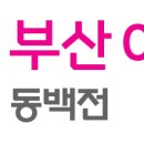 용호더블유약국 이미지