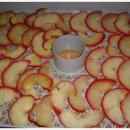 장미꽃사이로 이미지