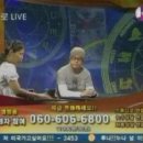 (야간)타로 이미지