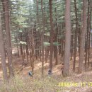 우리가 가꾸는 꽃길 이미지