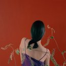 DAM WALL STAY 이미지