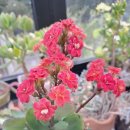 옥계남로-5 이미지