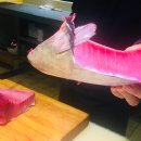 (주)수참치 이미지