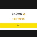 마이원 Daum카페