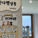 안다펫살롱 이미지