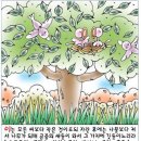 겨자씨이야기 이미지