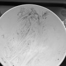 샐러디 용인역북점 이미지