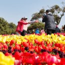 365 국내외 전문여행사