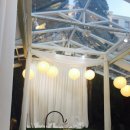 더 그레이스 바이오 이미지