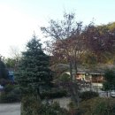 일림산권역
