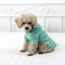 오로라펫 이미지