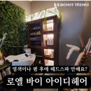 운정 초롱꽃마을 미용실 커트 염색 헤드스파 후기 feat. 두피 스케일링